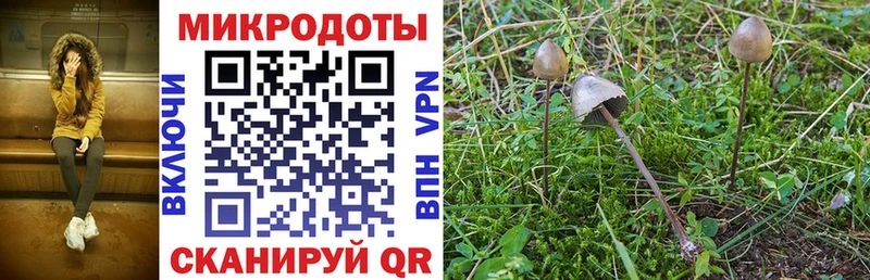Купить закладки  Нефтекамск  Псилоцибиновые грибы ЛСД 